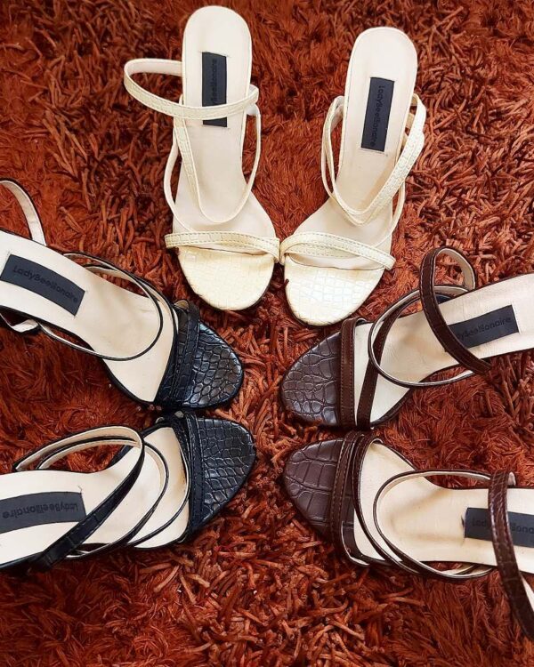 LadyBeellionaire Fashion Nigeria - dina mules
