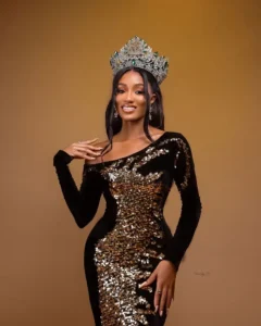 LadyBeellionaire Fashion Nigeria - Halle Dress
